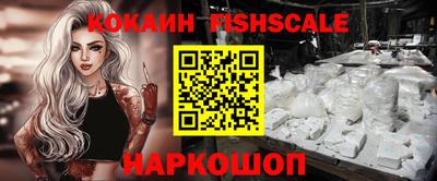 МДПВ Партизанск