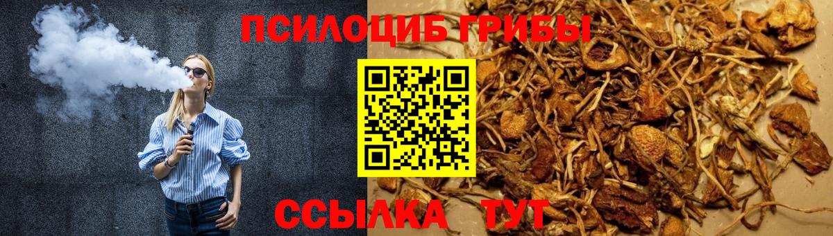 Анапа  Галлюциногенные грибы Magic Shrooms  Вход с VPN 